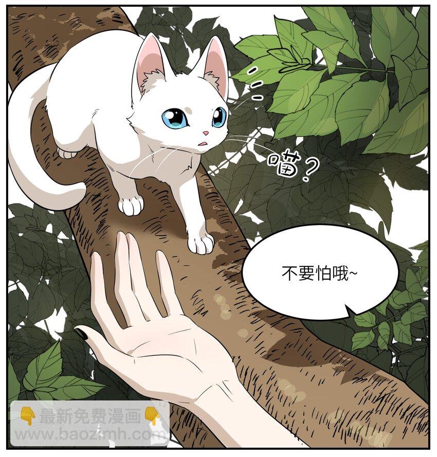 008 走散