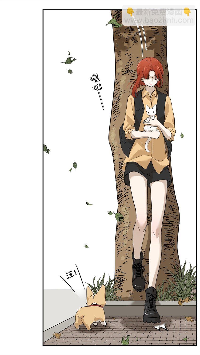 008 走散