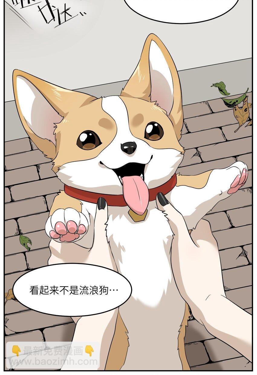 008 走散
