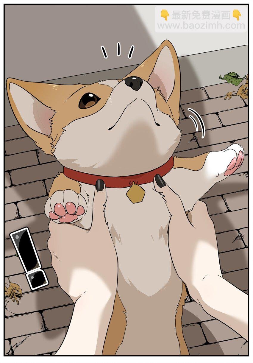 008 走散