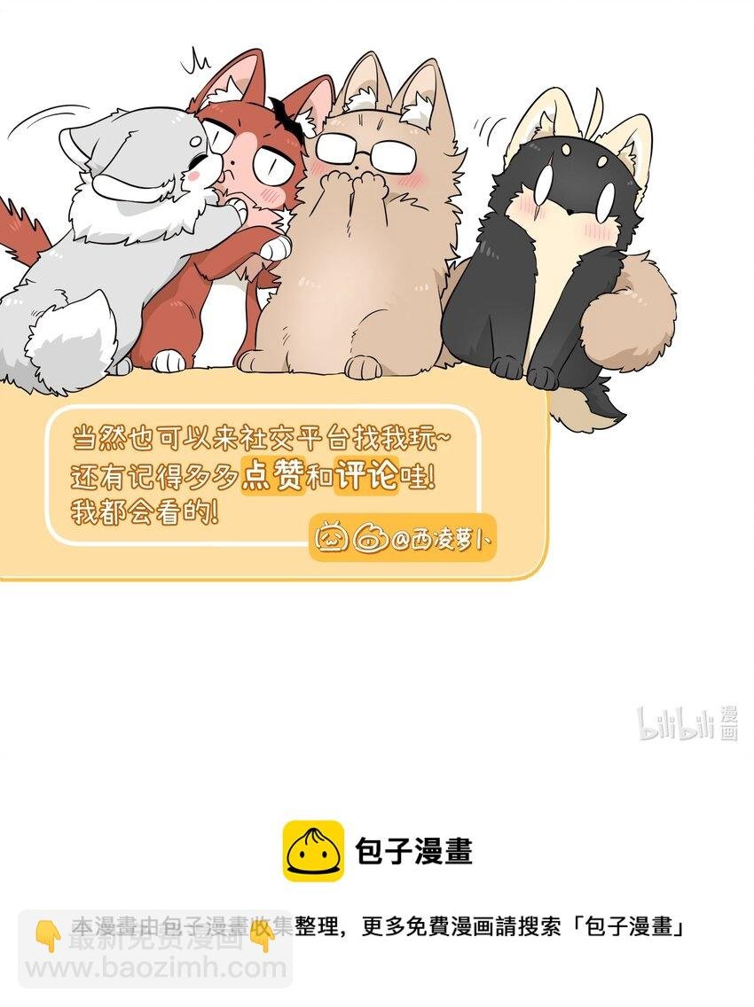 080 你在纠结什么