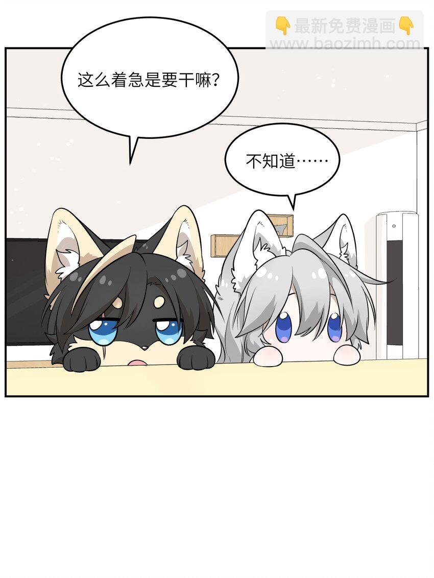 083 决心