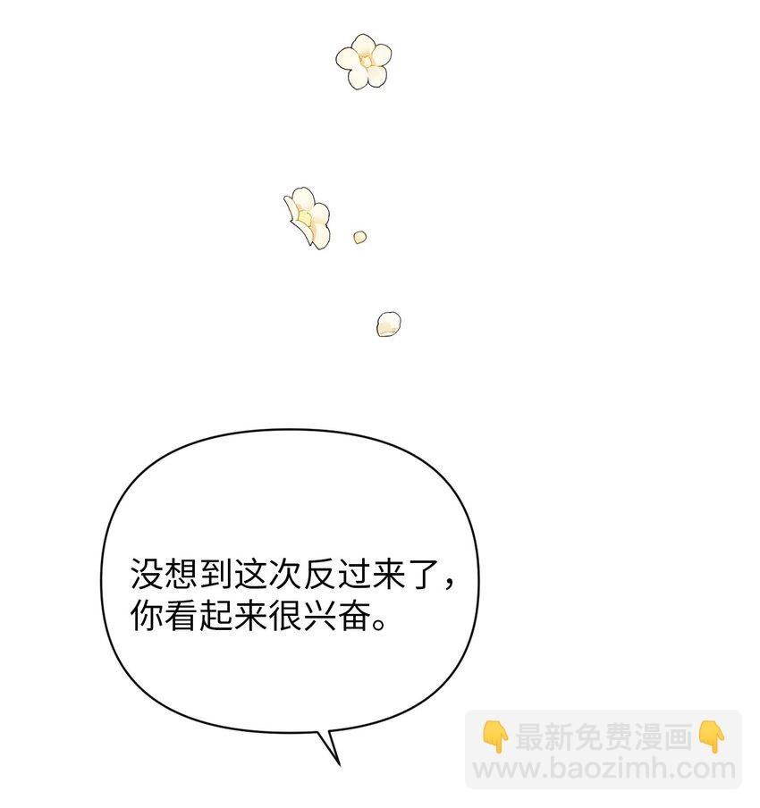 26 第几个理由