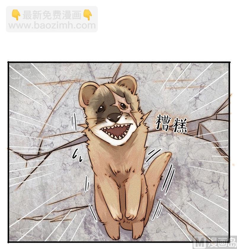 殉情