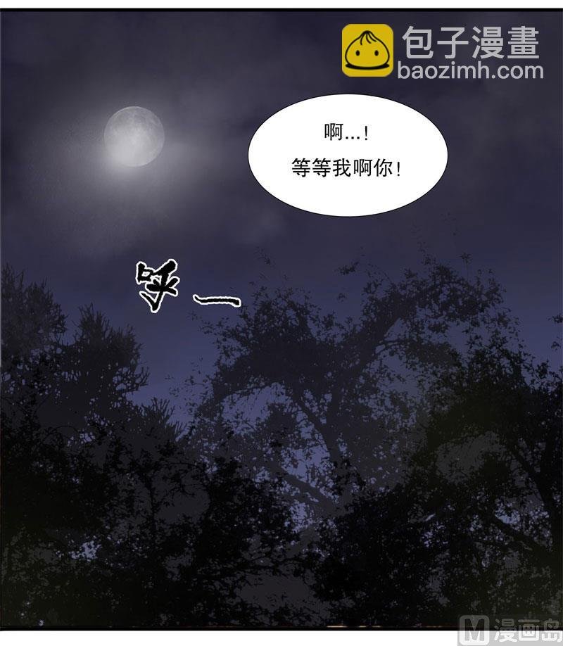 绍琼（下）
