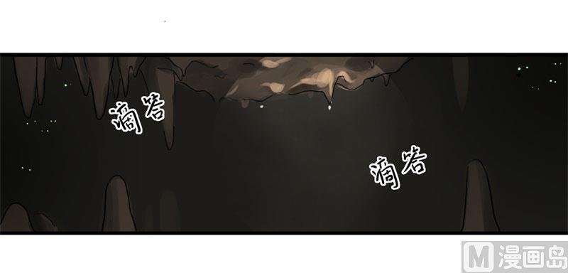 绍琼（下）