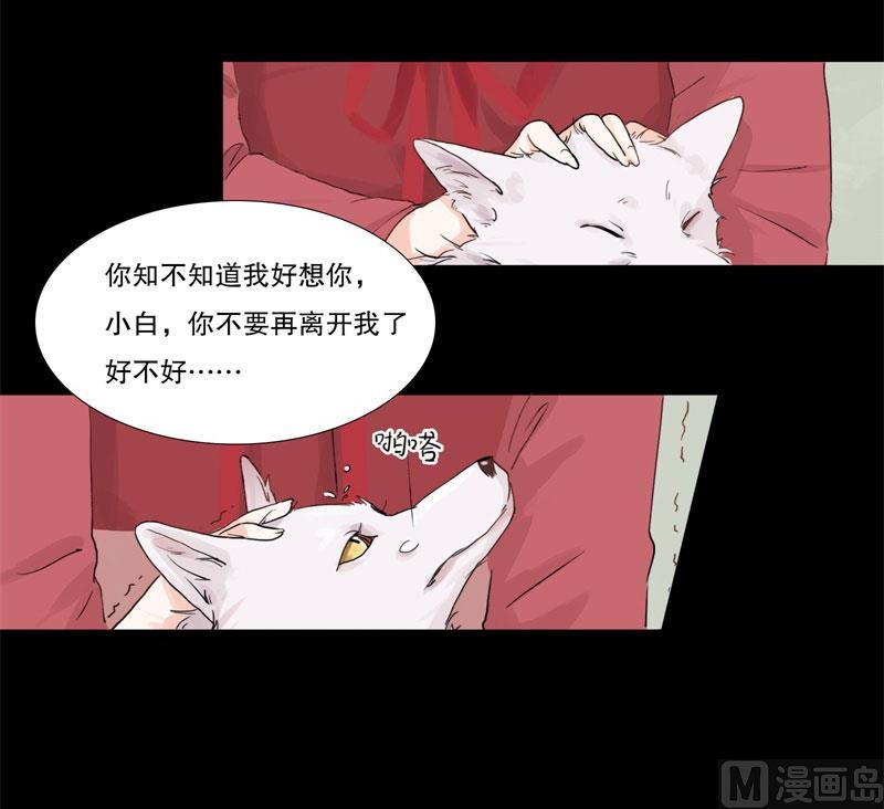 绍琼（上）
