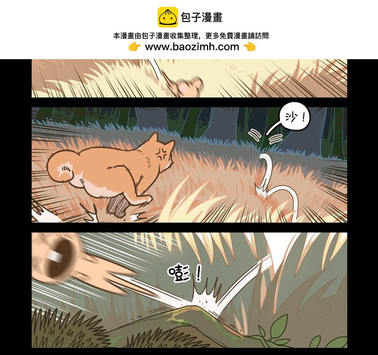 阿袋的过去②