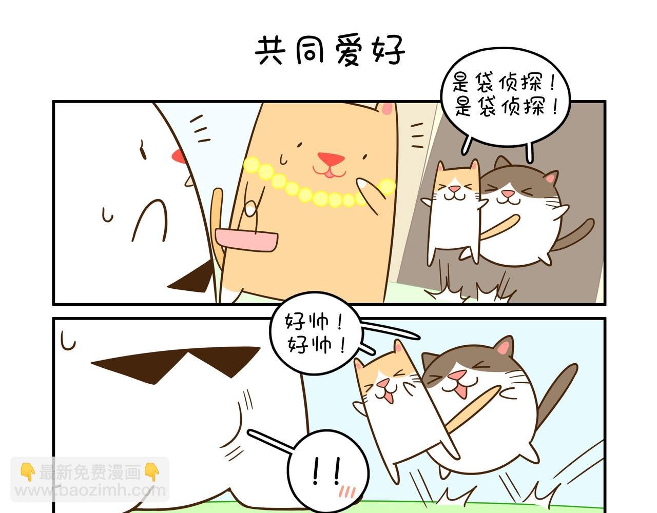 拜访猫太太