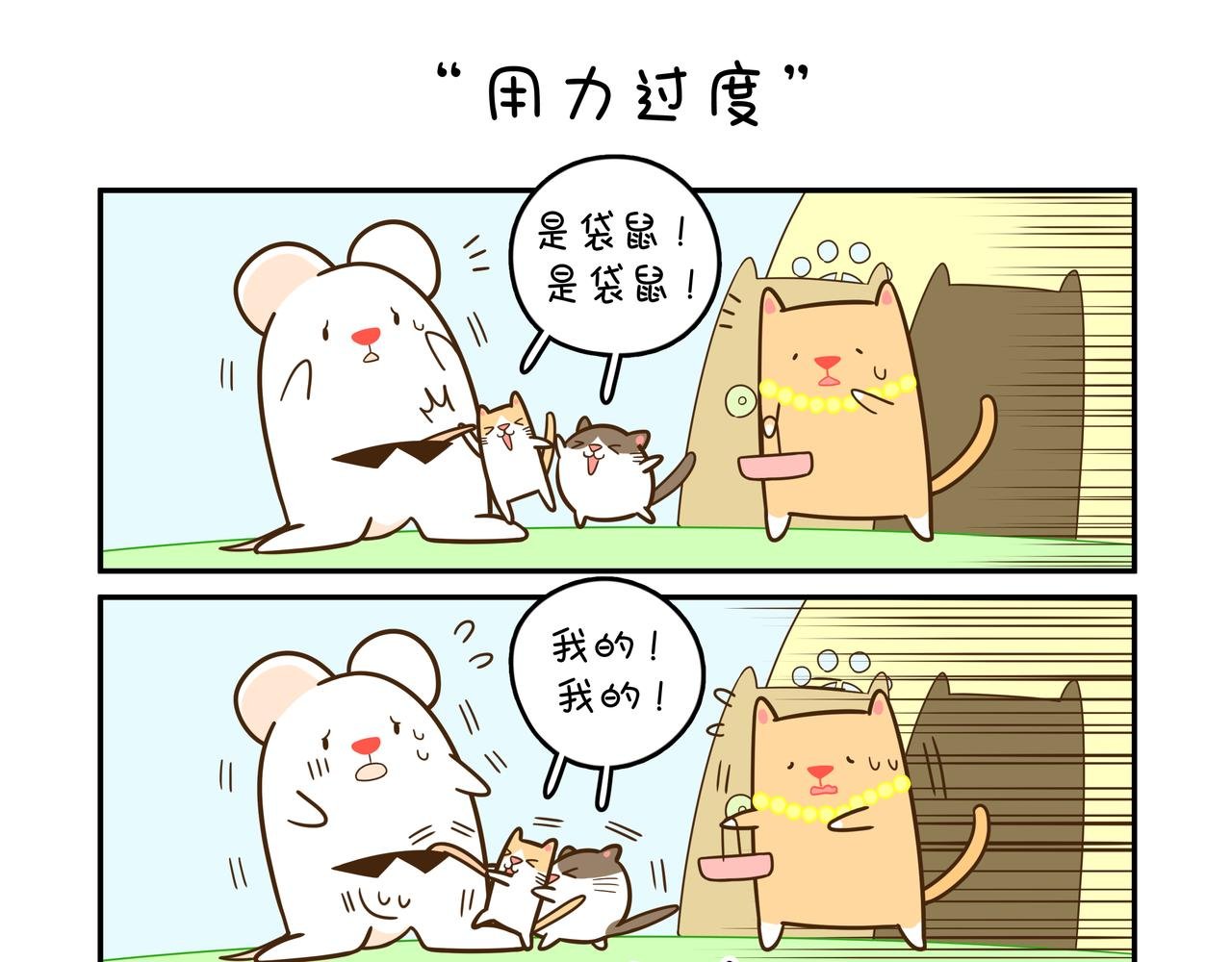 拜访猫太太