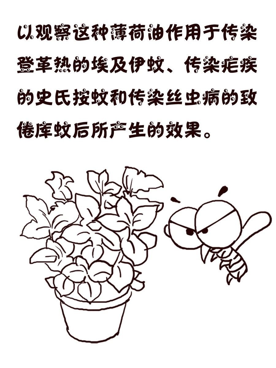 轻松一刻 第15集