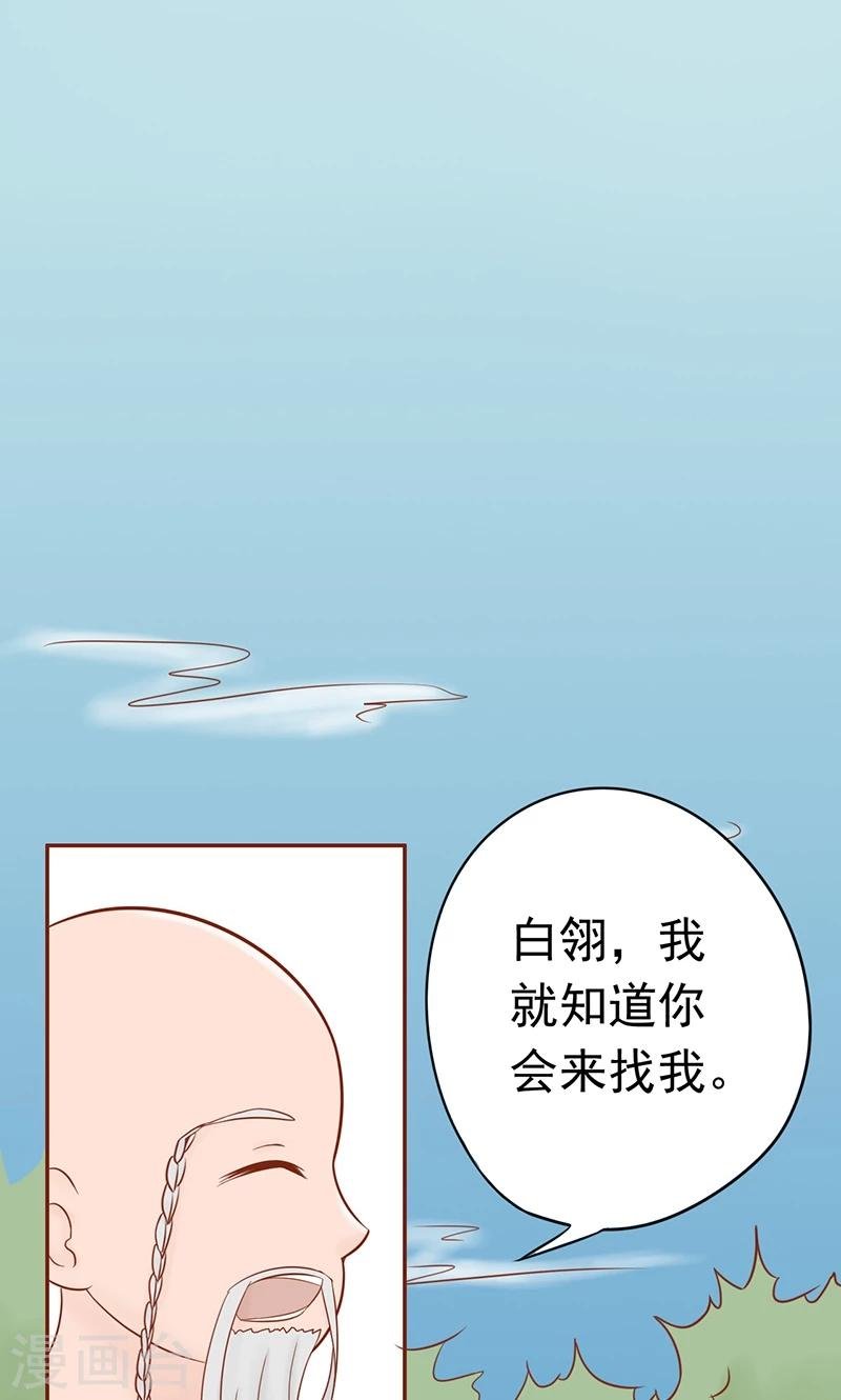 第20话 人傻钱多