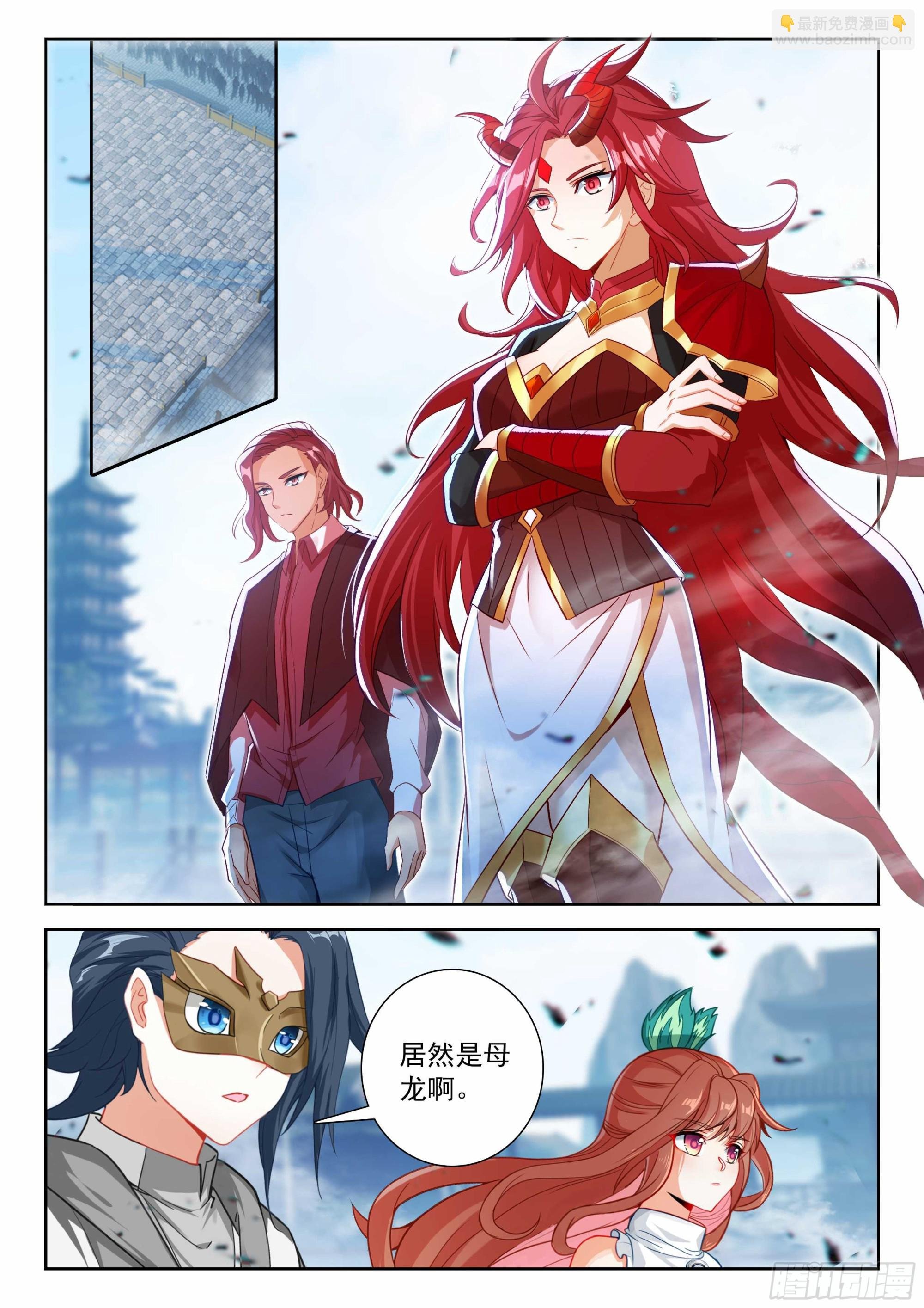 206 对战龙之花（上）