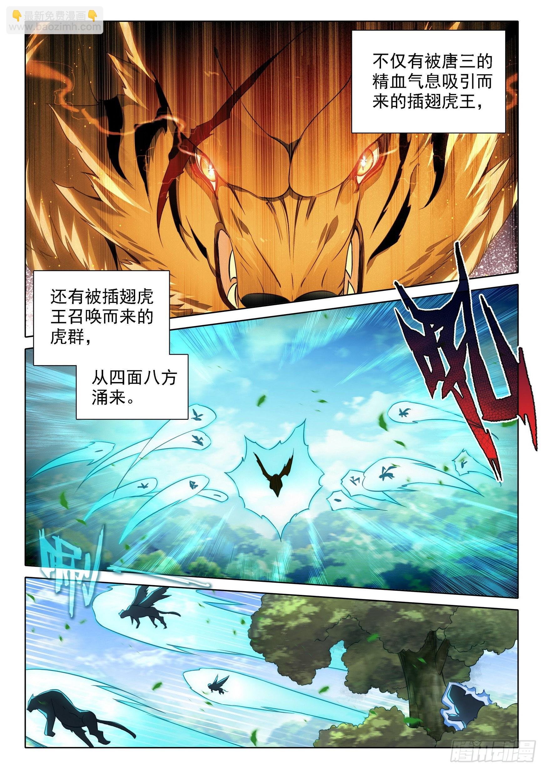 67 狮虎之战