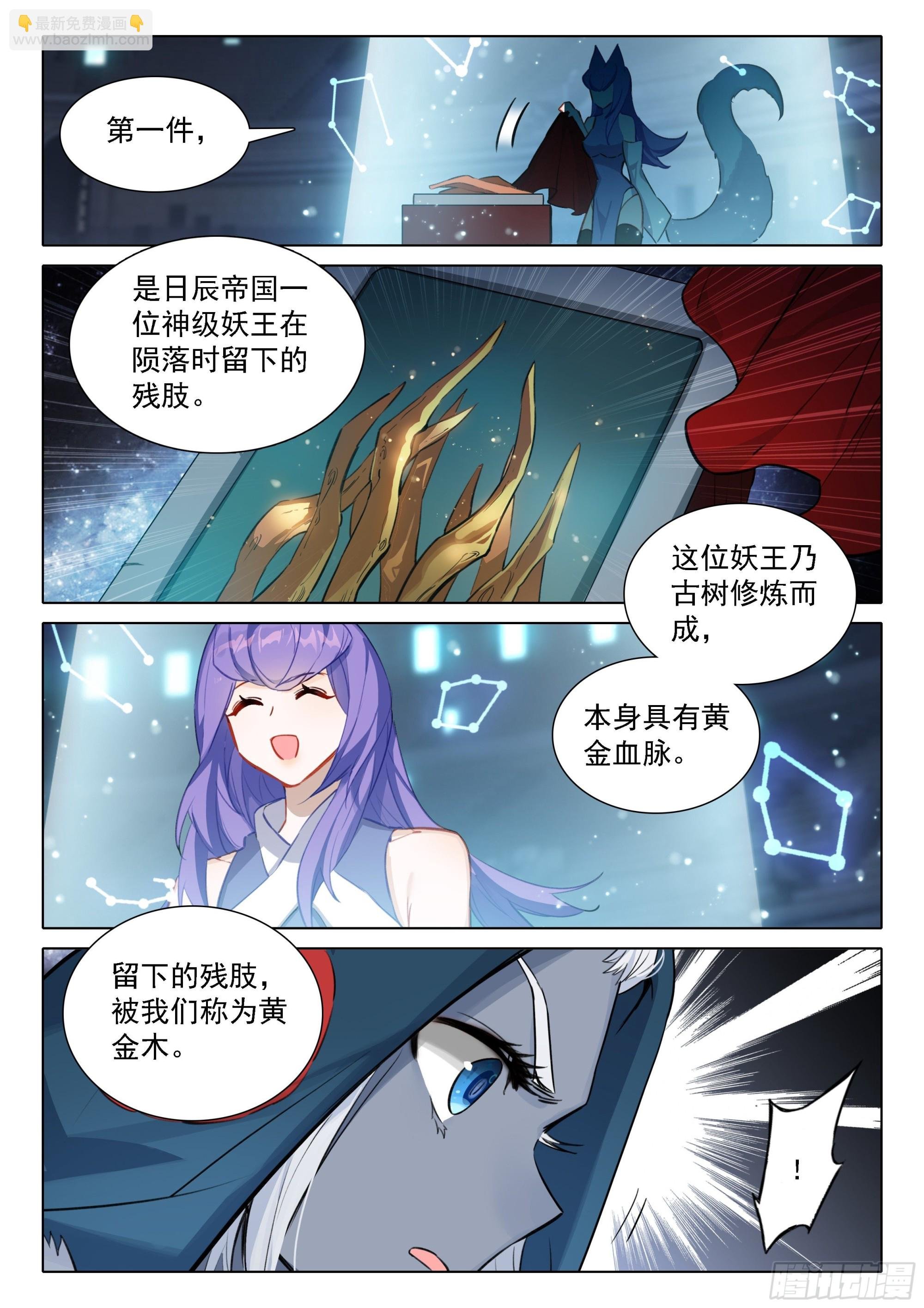73 拍卖进行