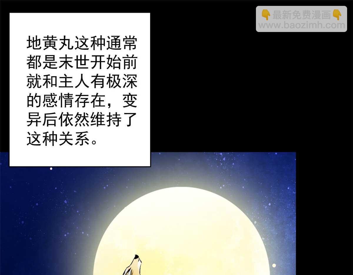 116 乱中求胜！