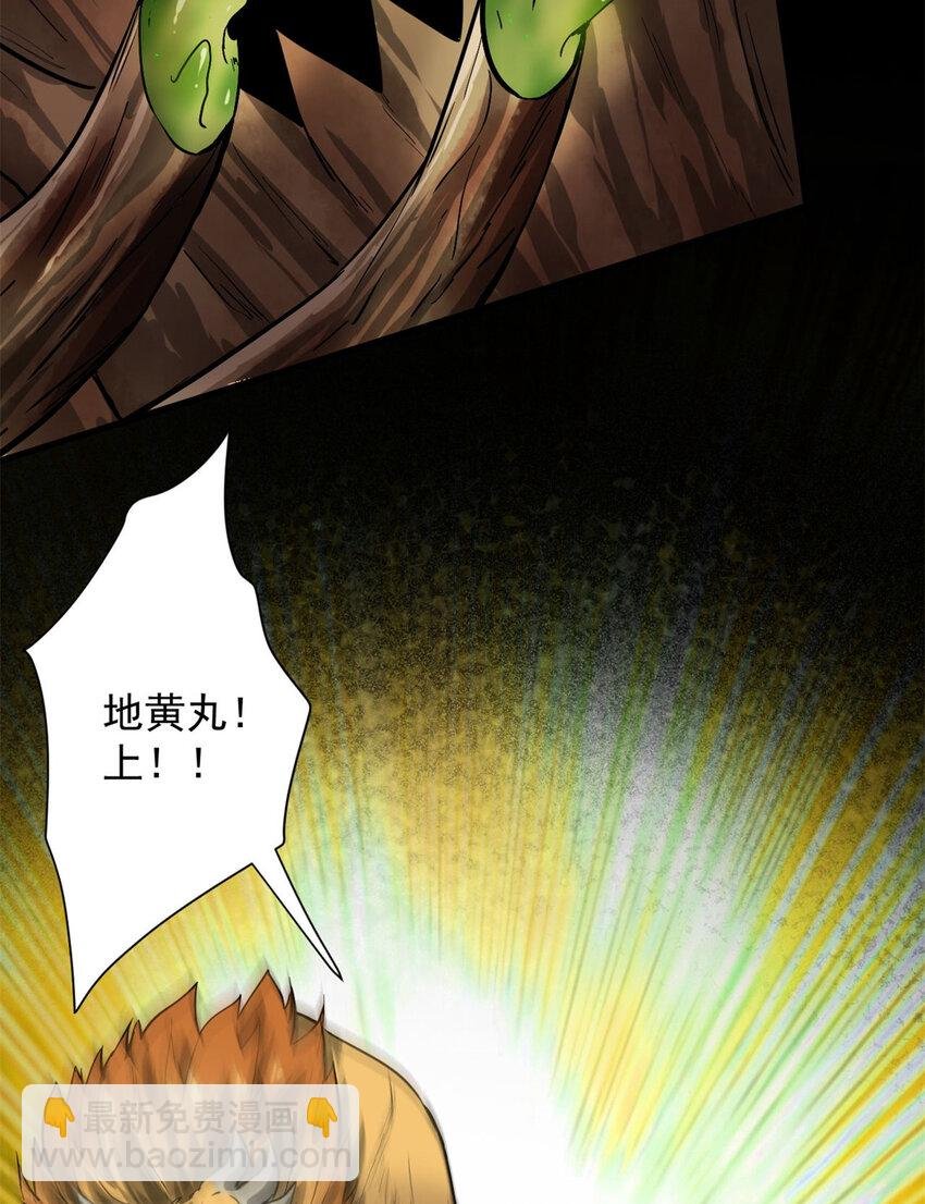 149 虚伪鬼树