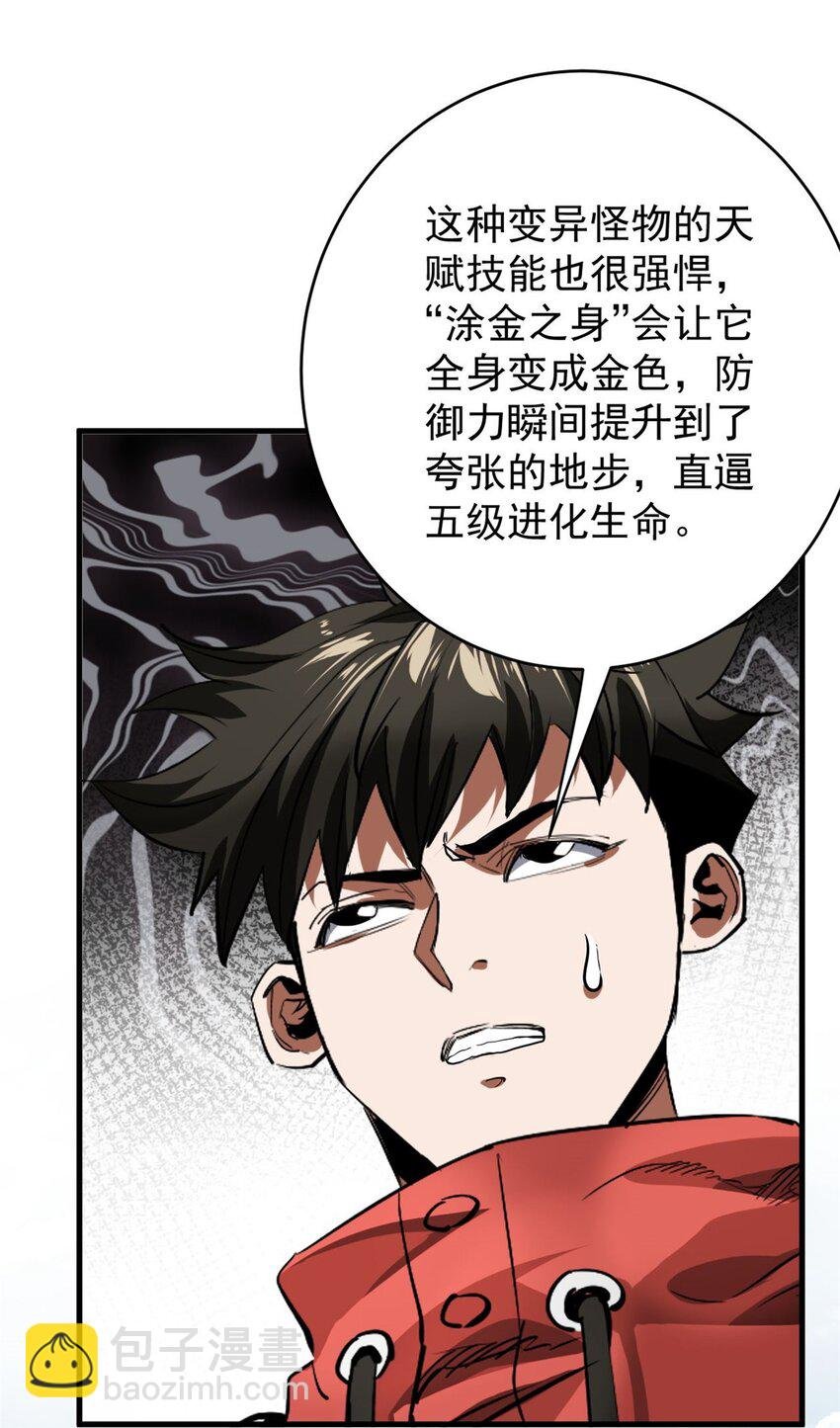 175 驭兽师