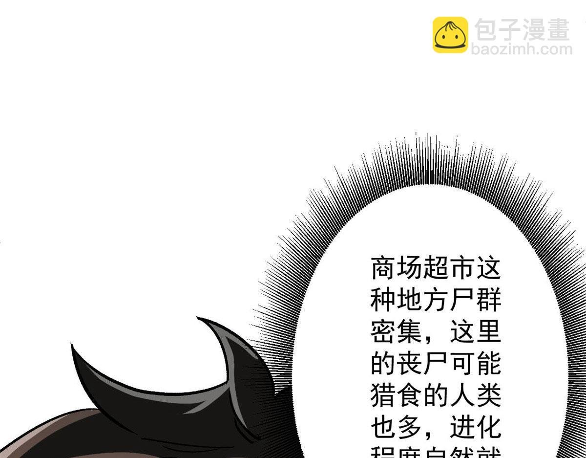 70 语婆与她的宠物
