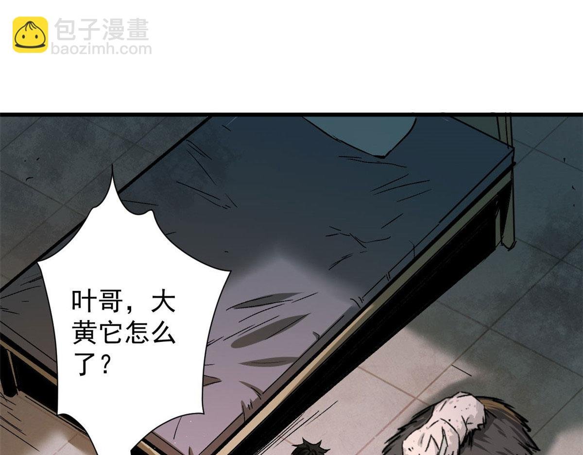 86 二阶进化
