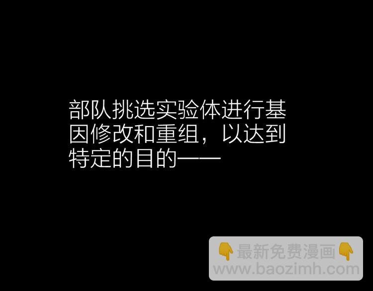 第8话 欧若拉