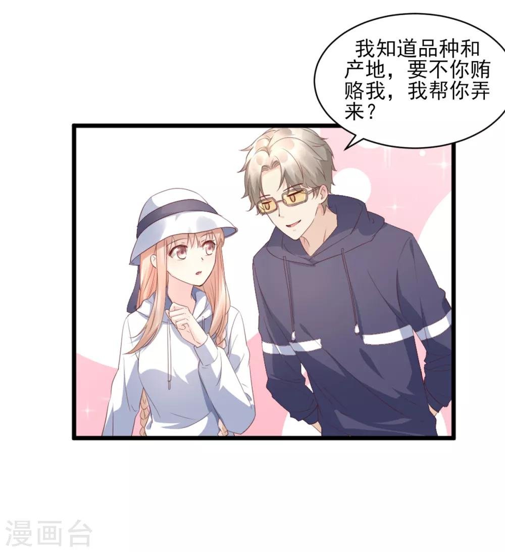 第15话 奶奶神助攻