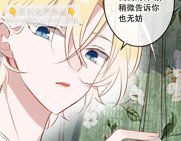 第9话 选妃的真正目的