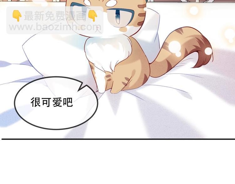第97话 戒指