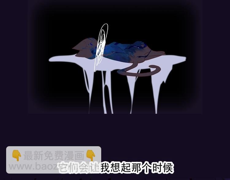 第97话 戒指