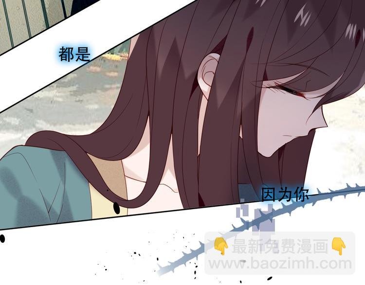 第114话 不悔