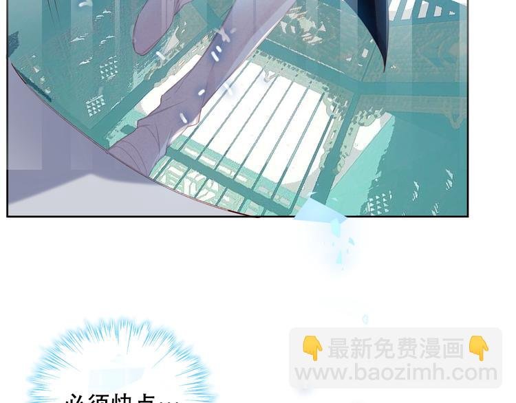 第122话 凤凰和神明们的故事