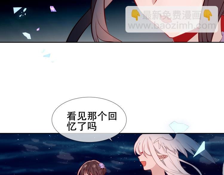 第122话 凤凰和神明们的故事