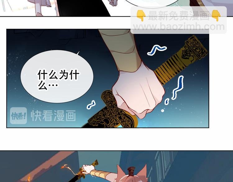 第146话 狼与犬