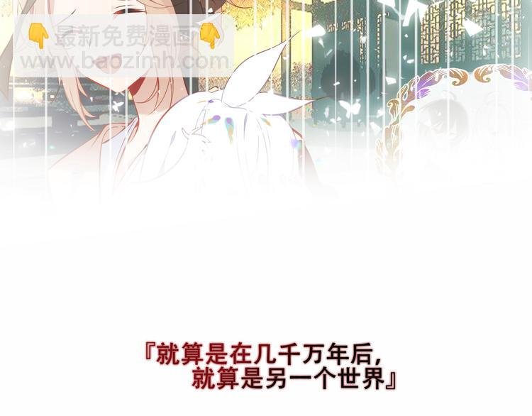 第152话 假赤圆