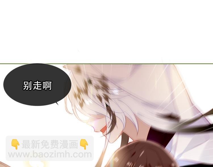 第152话 假赤圆