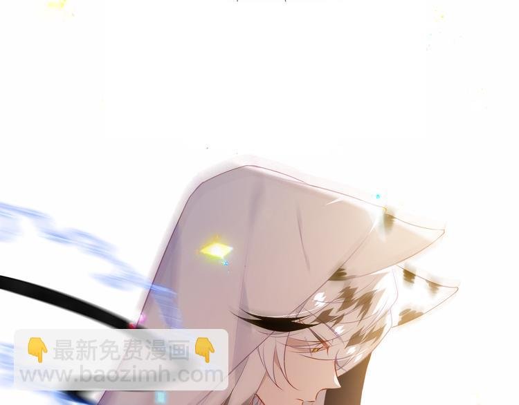 第152话 假赤圆