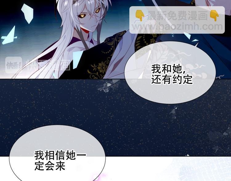 第163话 满城杏花开