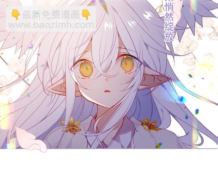 第164话 白与希
