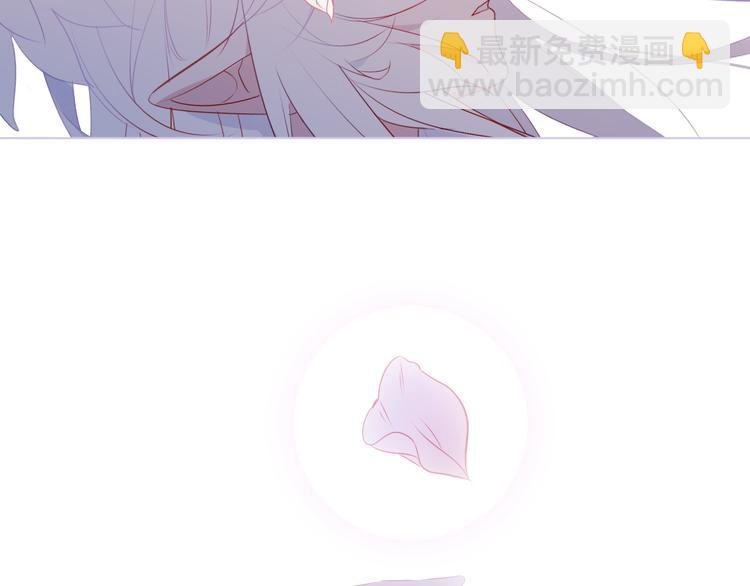 第164话 白与希