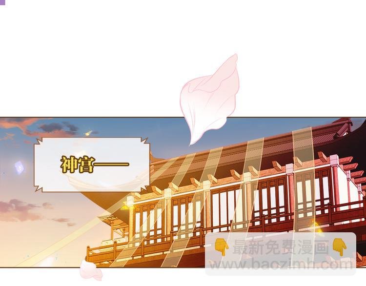 第166话 婚礼前夕