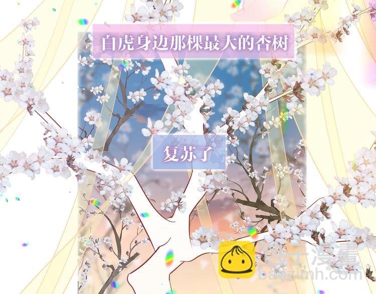 第166话 婚礼前夕