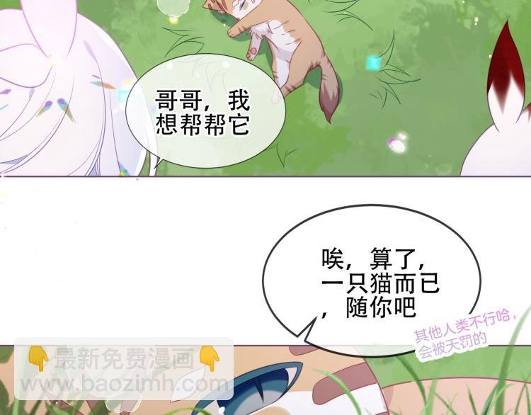 番外 无夜城的一只猫