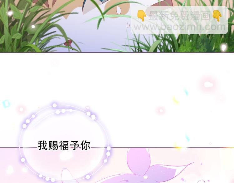 番外 无夜城的一只猫