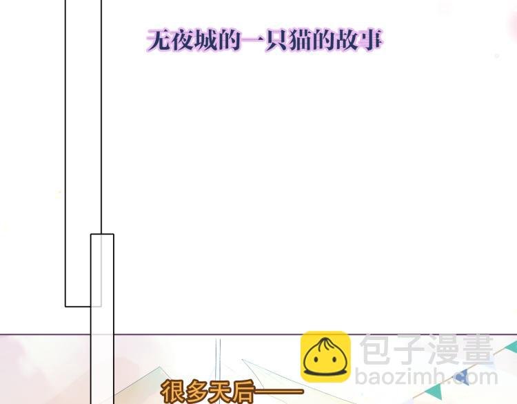 番外 无夜城的一只猫