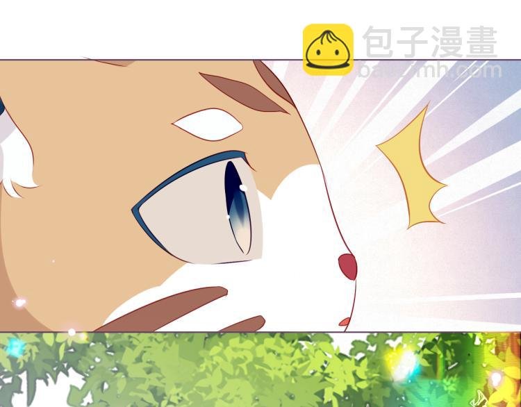 番外 无夜城的一只猫