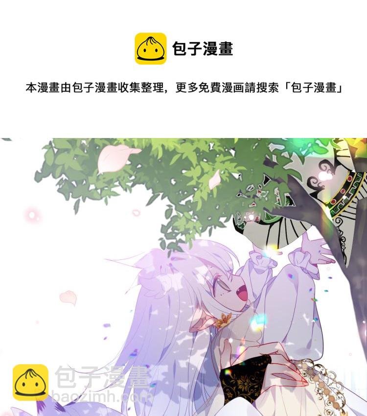 番外 无夜城的一只猫