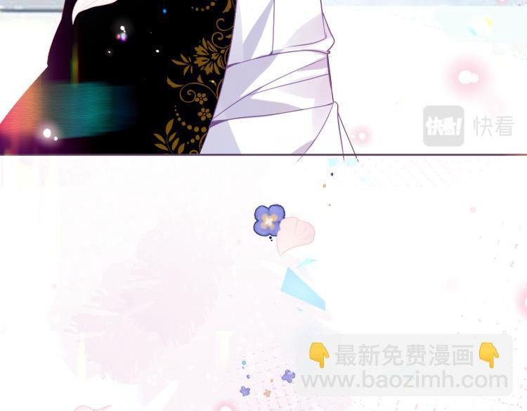 番外 无夜城的一只猫