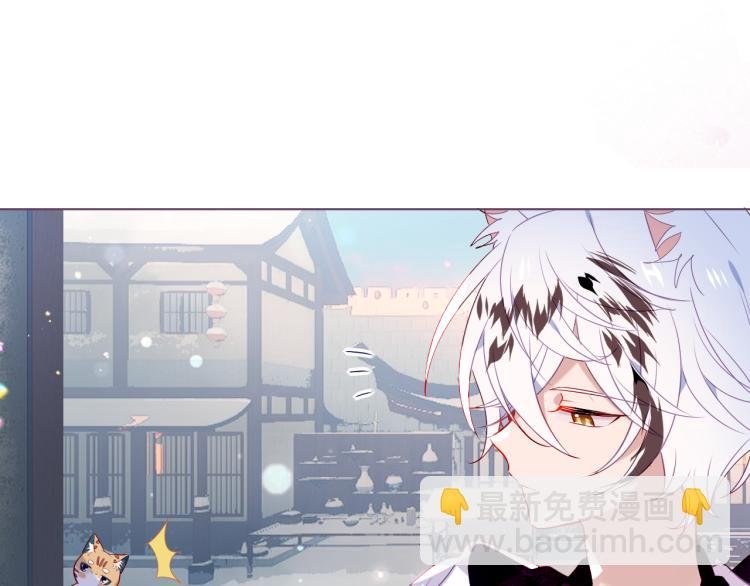 番外 无夜城的一只猫