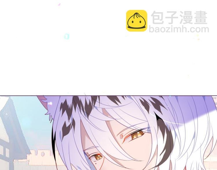 番外 无夜城的一只猫
