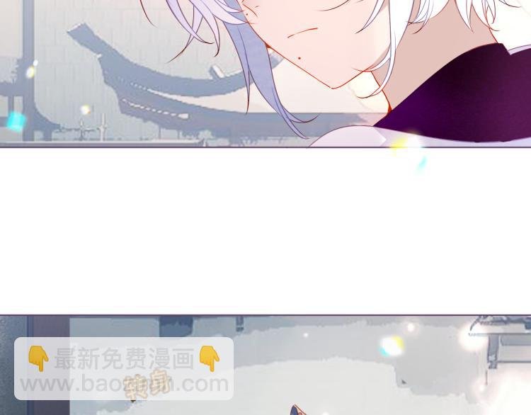 番外 无夜城的一只猫